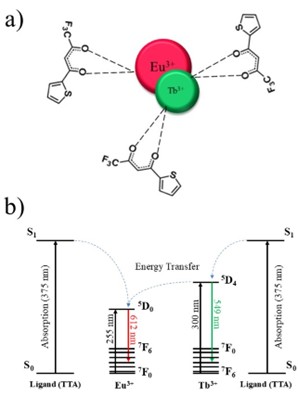 Representation of the antenna effect of TTA, and (b) energy transfer diagram.
